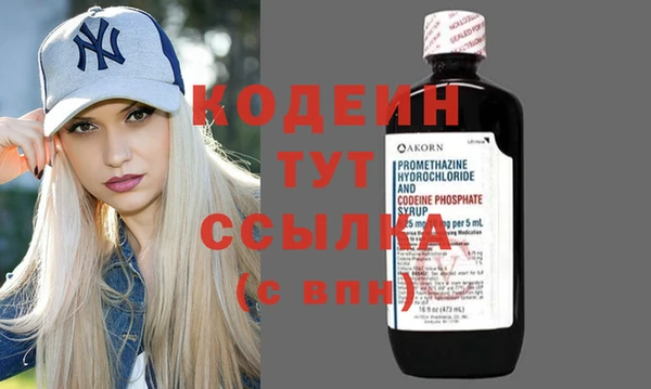 индика Абинск