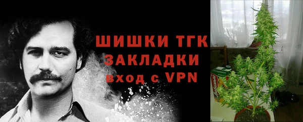 гидропоника Абаза