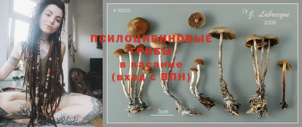 индика Абинск