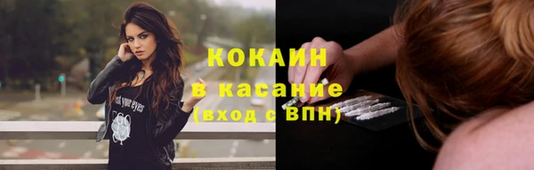 индика Абинск