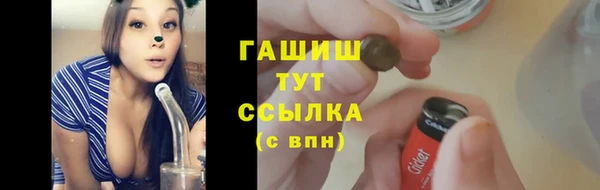 индика Абинск