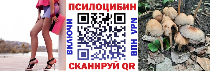 Галлюциногенные грибы мухоморы  купить наркотик  Ярославль 