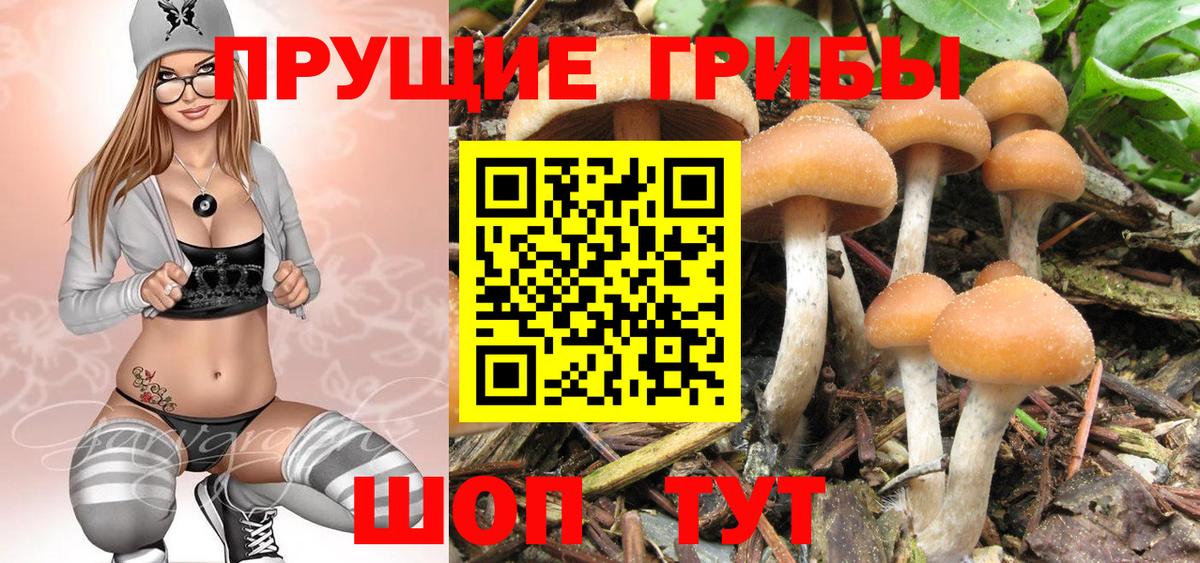 Псилоцибиновые грибы GOLDEN TEACHER Ярославль