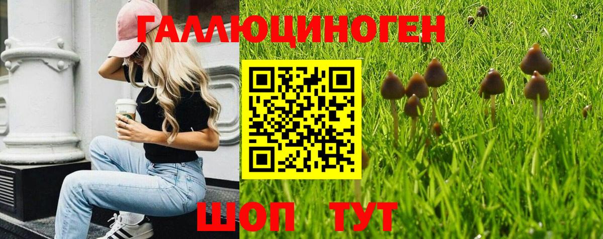 Галлюциногенные грибы мицелий  Вход с VPN  Ярославль 